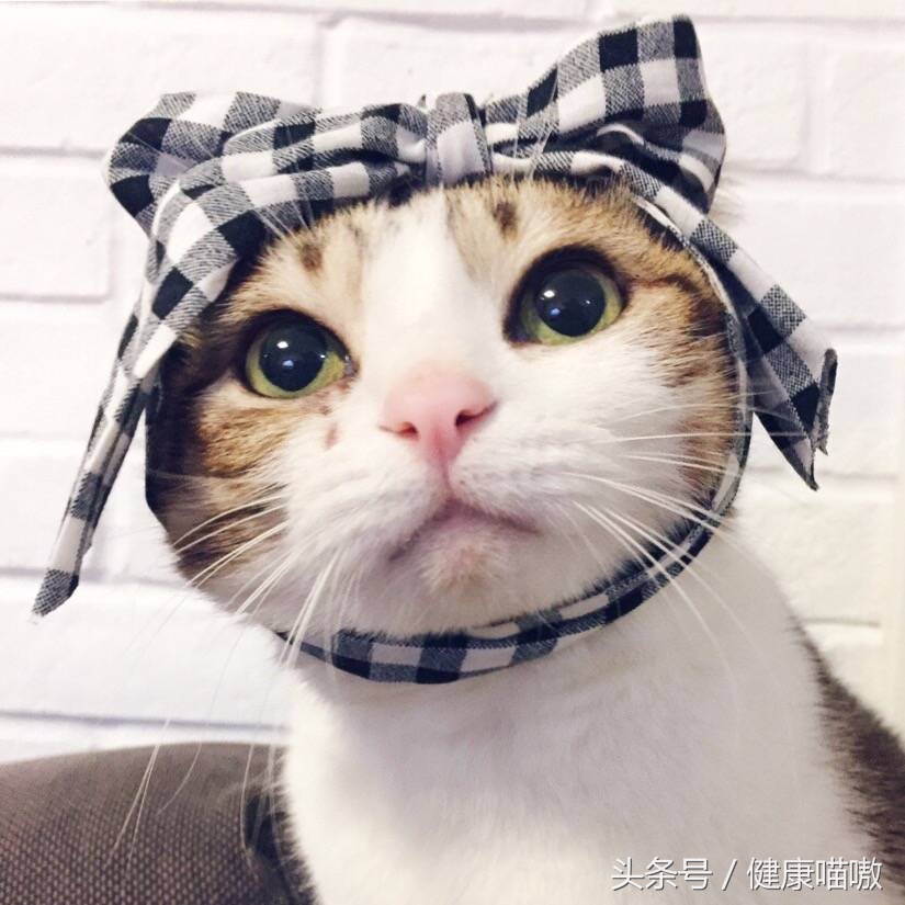 南瓜子治寄生虫生吃还是炒熟,肝长了寄生虫吃南瓜子可以去除吗