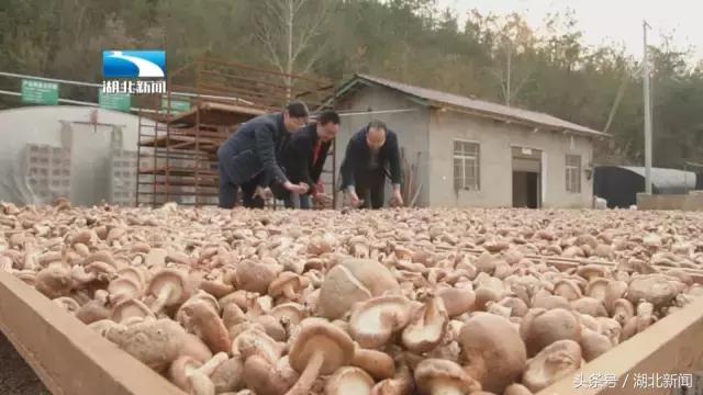 讲个故事：炸皮子肉还剩那么多，那肯定是个好年！