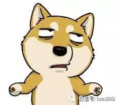 董卿和刘涛的口红,董卿口红和刘涛口红