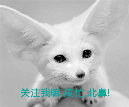 貂蝉蝴蝶梦将上线,王者荣耀貂蝉蝴蝶梦图片