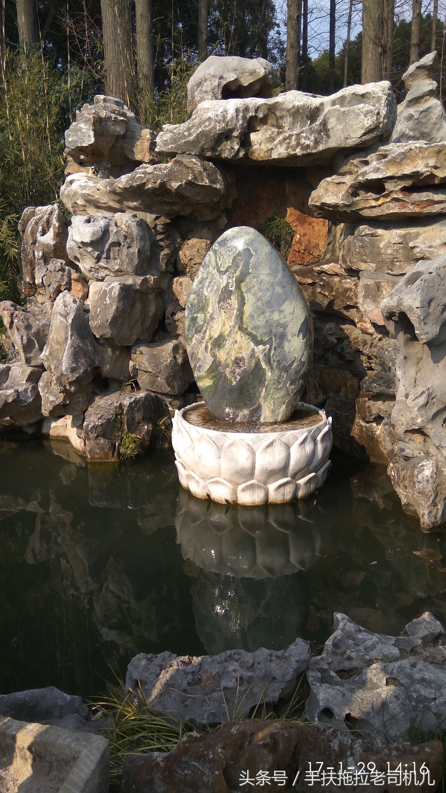 松江醉白池旅游攻略,松江醉白池免费时段