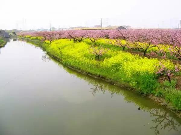 过年上海周边旅游最值得去的地方,上海假期周边旅游攻略大全