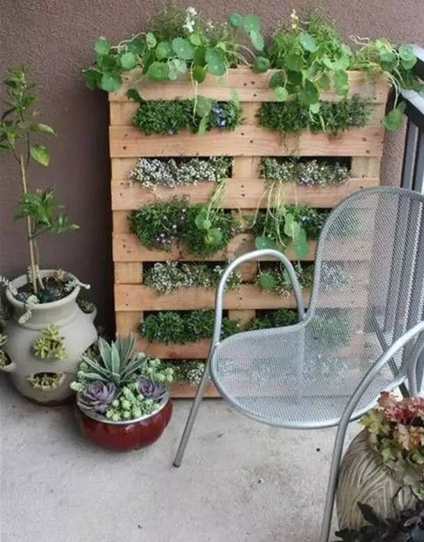 自己动手做花架一层,自己亲自动手做的花架就是好