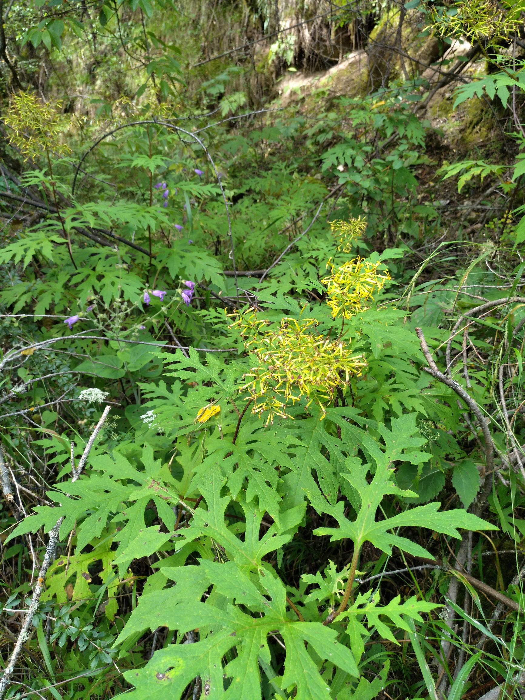宁夏到陕西的沿途旅游,从宁夏自驾游到重庆多长时间
