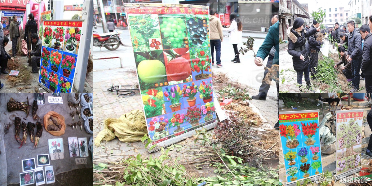 地摊套路产品,地摊卖东西的套路