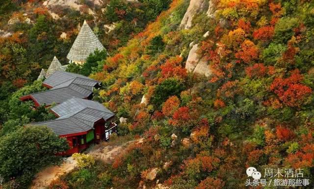 中国亲子度假酒店排名,优选亲子酒店指南