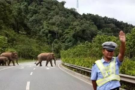 干货分享必读,干货探索与分享