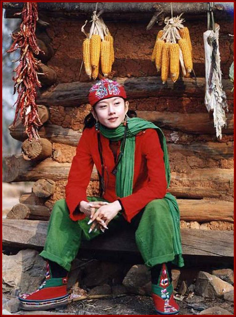 杨丽萍穿薄纱孔雀服,杨丽萍的孔雀服竟是画上去的