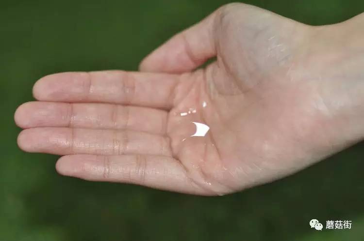 测评｜6款亲民的护肤水评测，脸要摸起来够水才行！