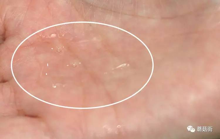 测评｜6款亲民的护肤水评测，脸要摸起来够水才行！