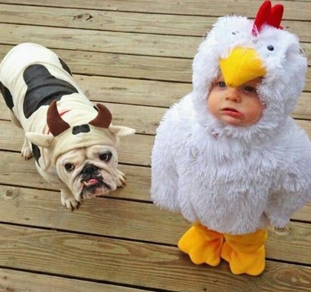 什么情况可以拉黑一个人,为什么会拉黑一个人呢