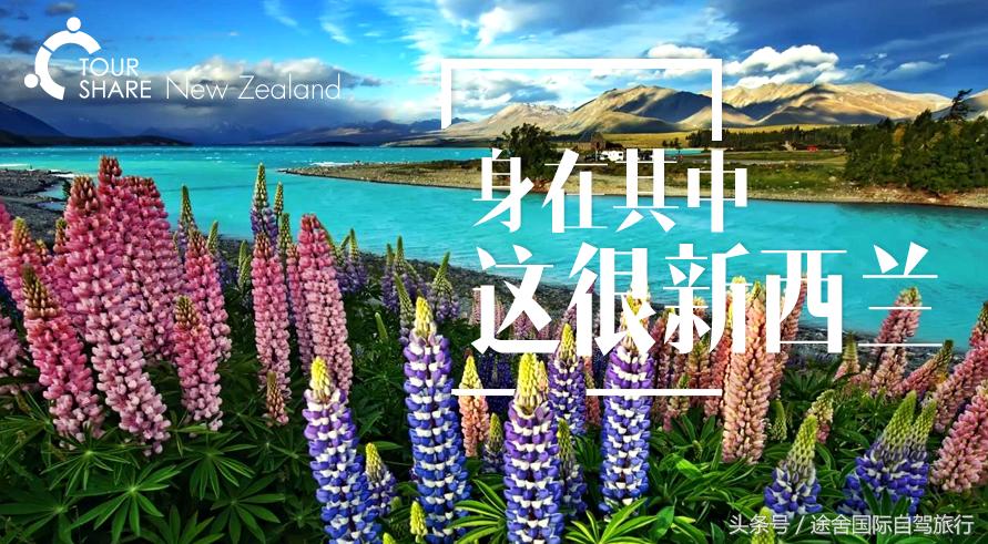 新西兰旅游游记,4月新西兰游记