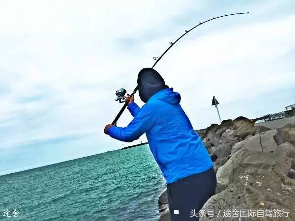 新西兰旅游游记,4月新西兰游记