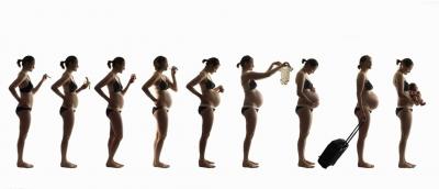 怀孕40周全程陪伴,40周怀孕全程指导电子书