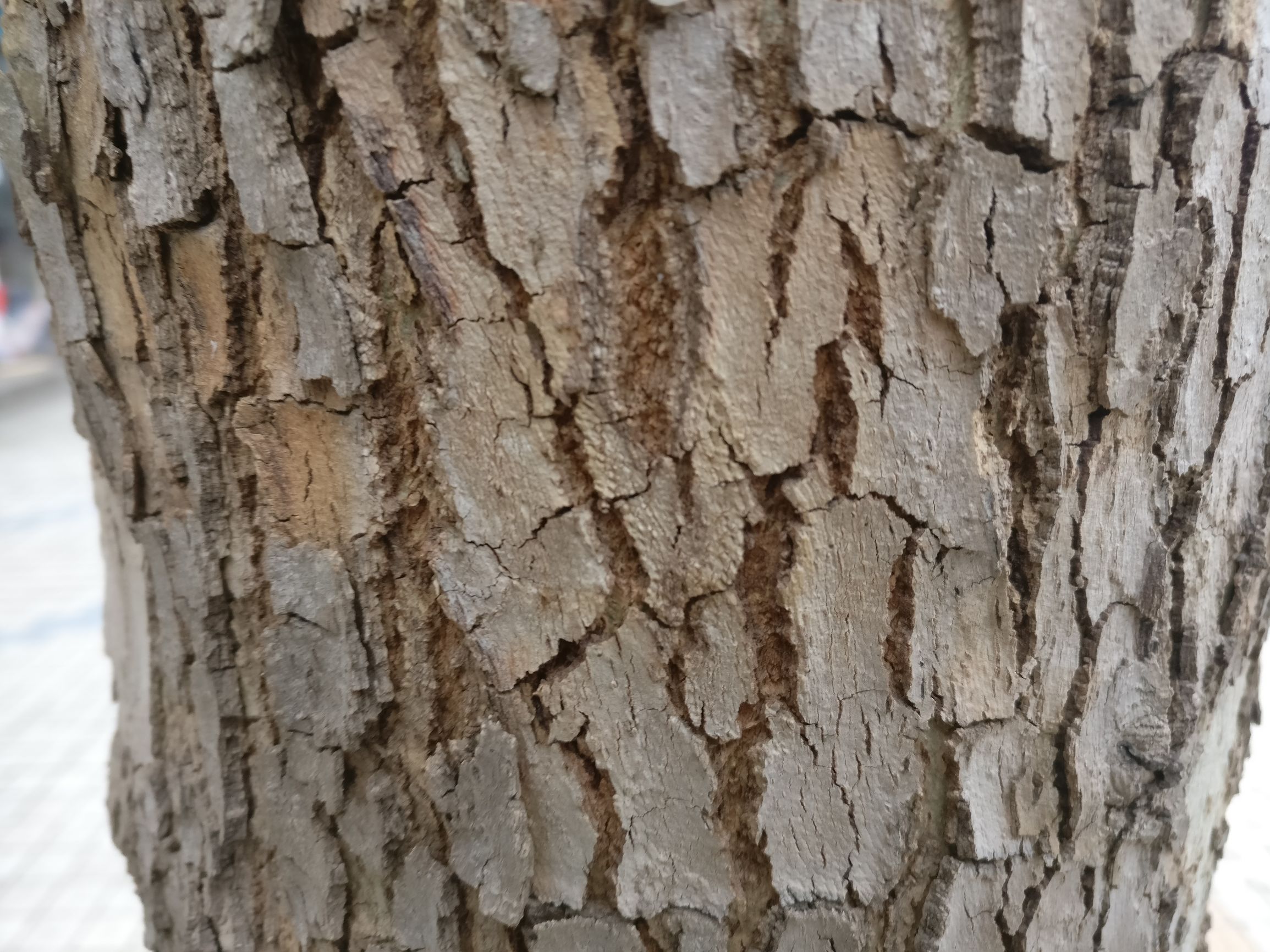 一加3t测评,一加3t详细评测