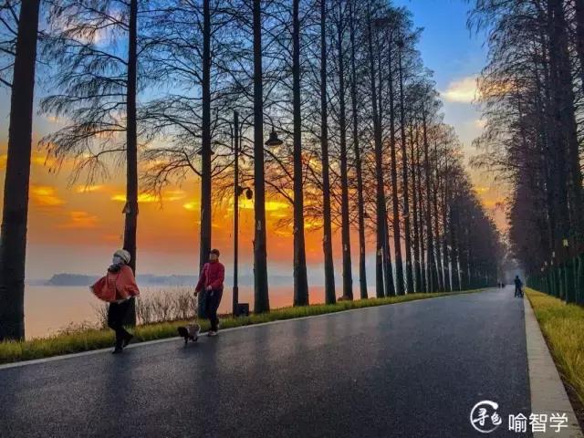 武汉这几年为什么这么火,武汉新的一年从哪开始