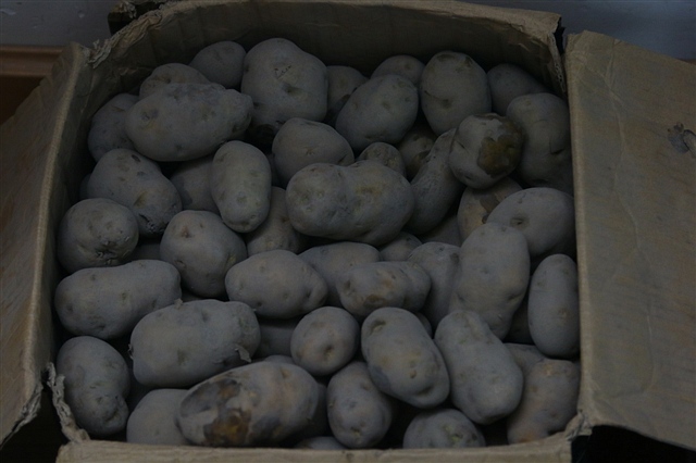 家乡的味道薄饼,家乡的特色小吃土豆饼