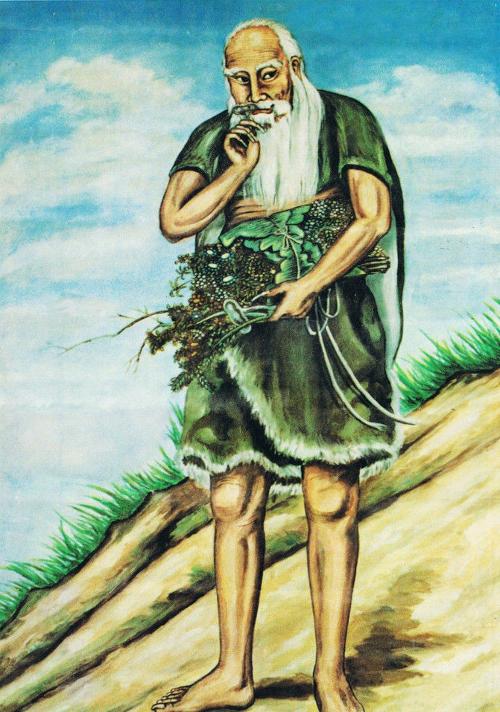 神农尝百草真相,神农尝百草是真的还是假的