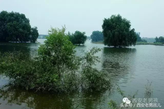 我的灞桥香胡湾——献给一个村庄