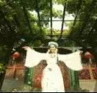 吃虾头会中毒吗,吃虾头会引起发烧吗