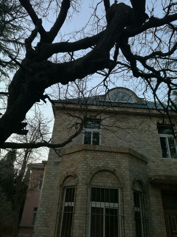 追寻历史遗迹感受文化魅力,八七疗养院历史遗迹