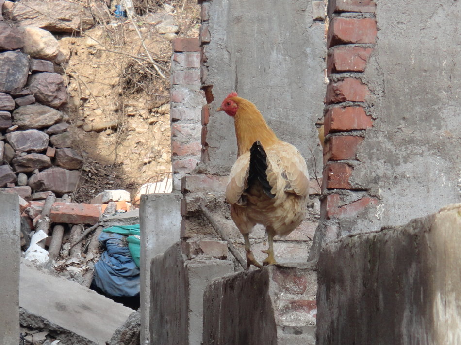 辉县盘上有哪些山,辉县盘上航拍