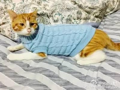 那些年我妈卖给我的奇葩东西,盘点那些你妈为了省钱买过的东西