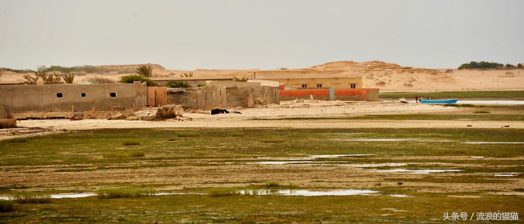 毛里塔尼亚，这个以肥为美的神奇国度究竟是什么样的？