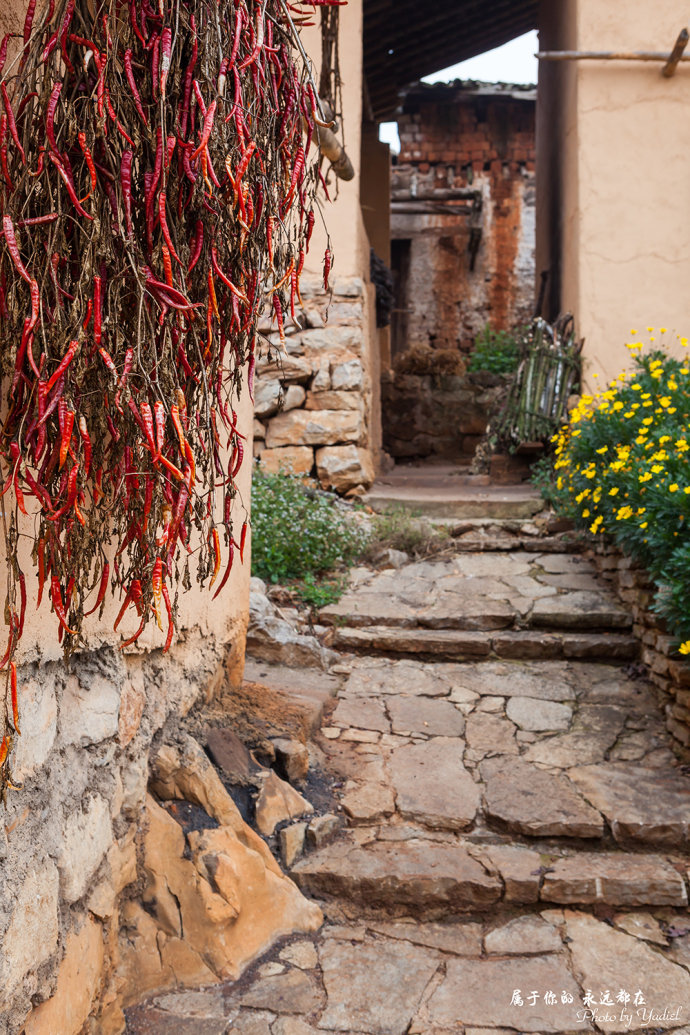 云南美丽的红河,云南红河一生的回忆