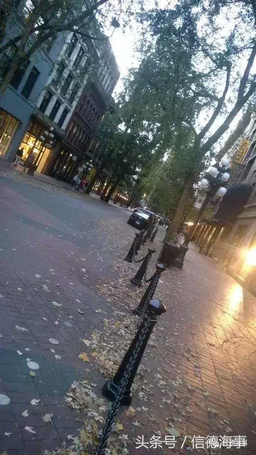 一位远洋船员亲身的经历,船上甲板见习的基本情况心得体会