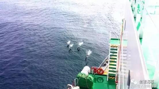 一位远洋船员亲身的经历,船上甲板见习的基本情况心得体会