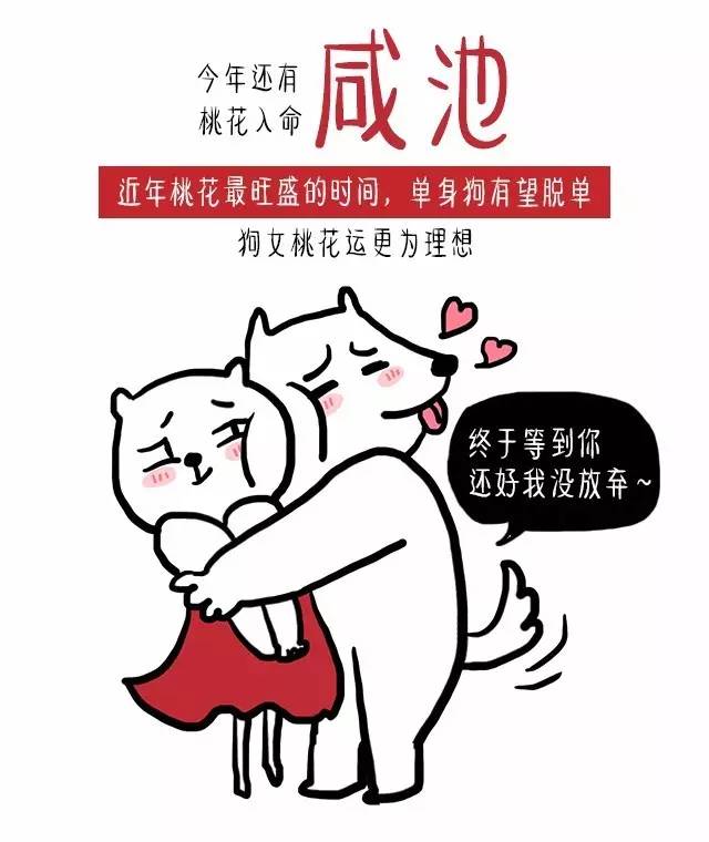 1970年属狗人2022年桃花运,属狗人今年桃花运怎么样