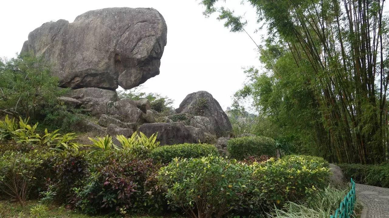 鼓浪屿真的值得去吗,鼓浪屿还敢去玩吗
