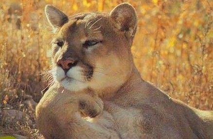 数学谜语等有趣的数学知识,数学字谜题大全