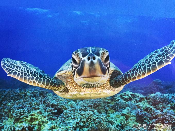 去台湾看自然风景,台湾小众景点