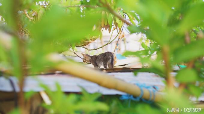 去台湾看自然风景,台湾小众景点