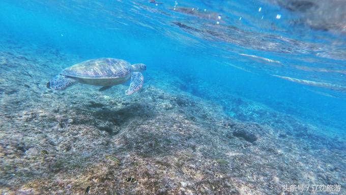 去台湾看自然风景,台湾小众景点
