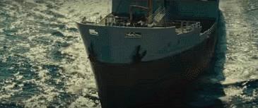 这两只在日本爆火的贱鹦鹉,一定能成为表情包界最火的新网红!