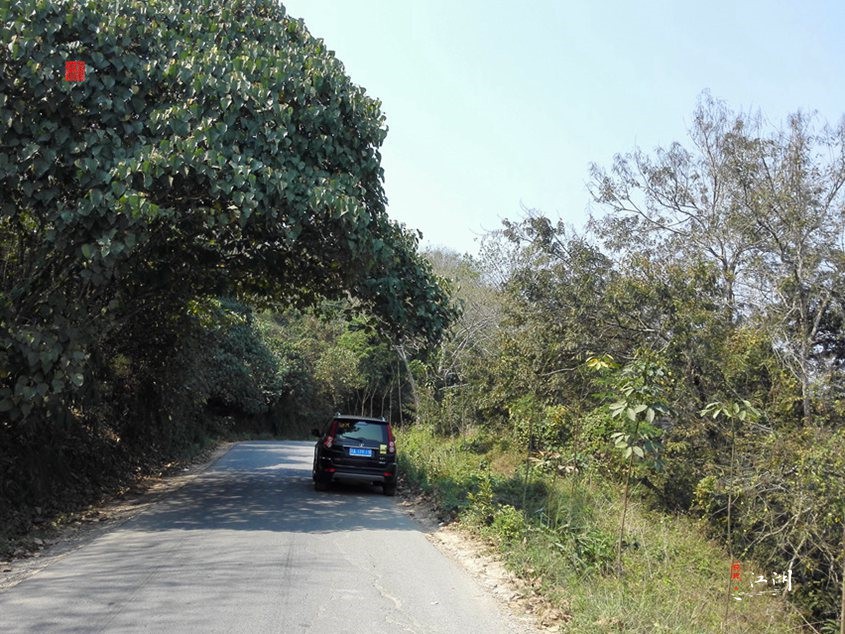 西双版纳奋斗一生,西双版纳不出门打工