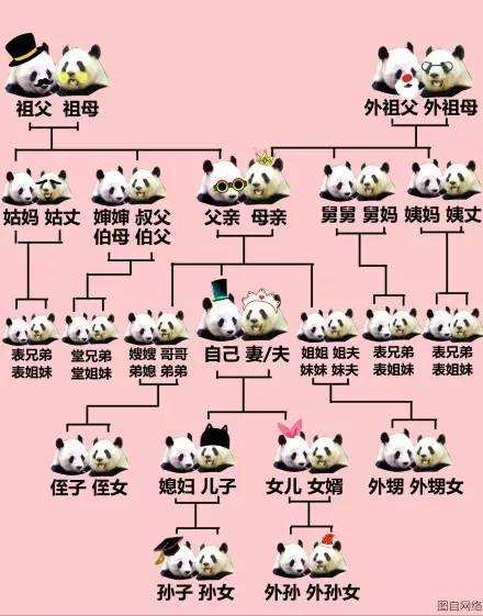 过年亲戚叫法有哪些,春节亲戚称呼大全