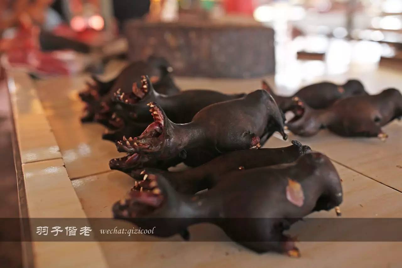 印尼美娜多旅游,印尼美娜多跟团游