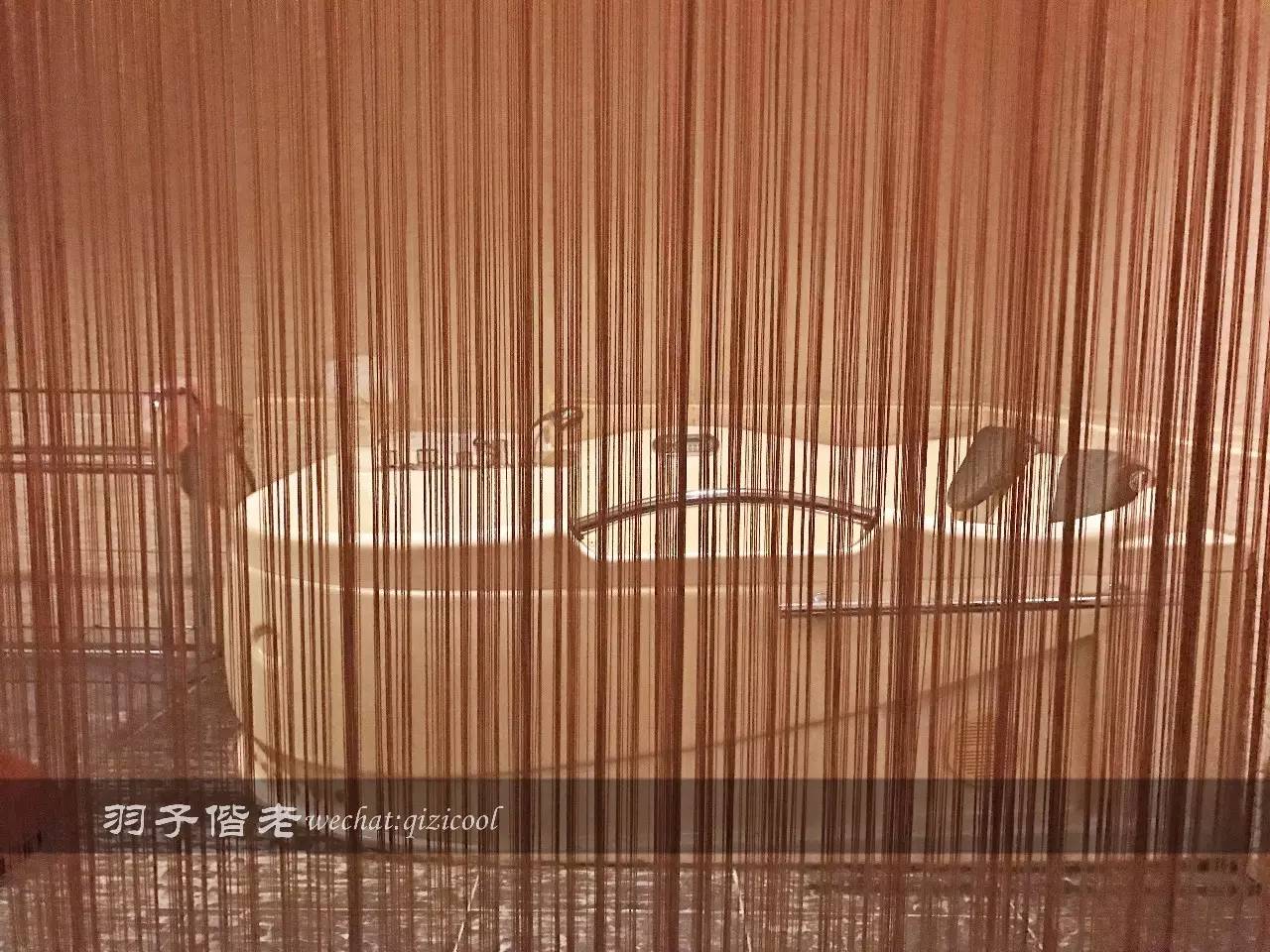 印尼美娜多旅游,印尼美娜多跟团游