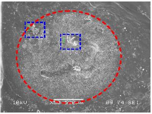 印刷模糊原因分析,印刷色差异常解决方法