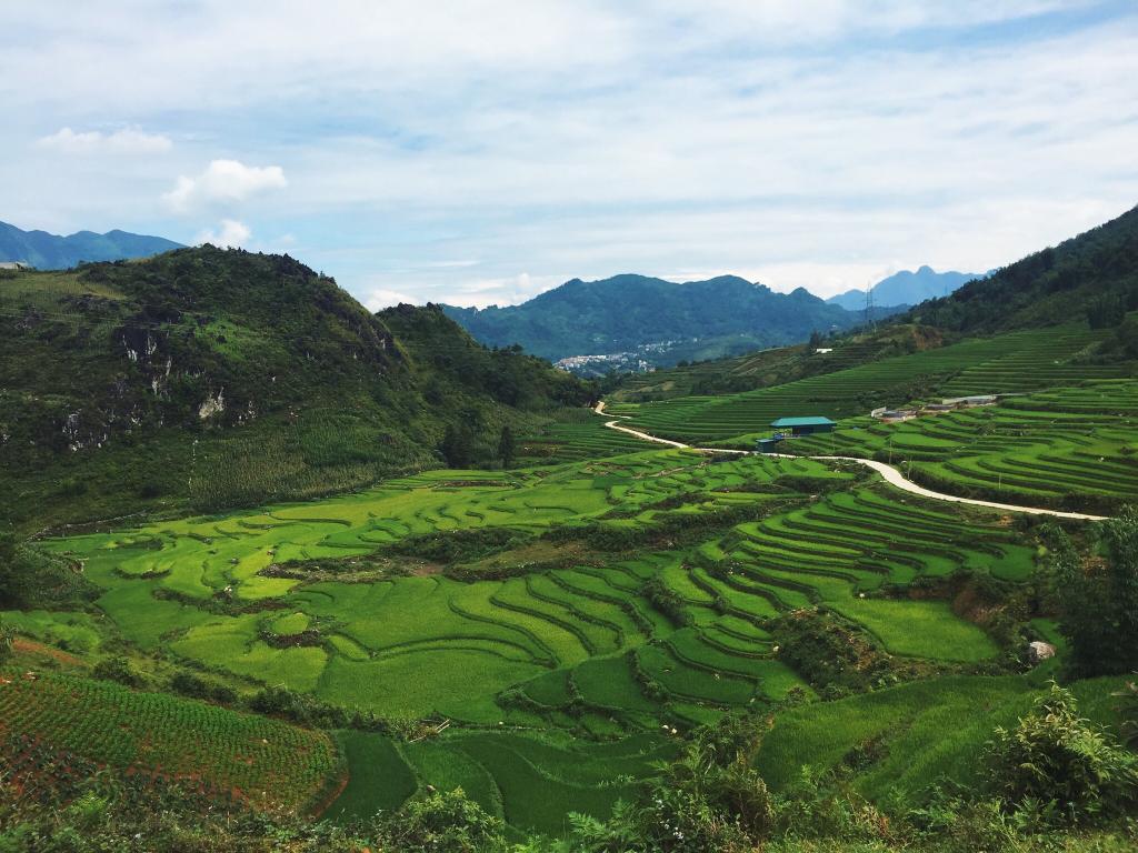 适合过年旅游的免签国家,过年出国旅游去哪个国家好免签