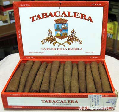 菲律宾风味芒果干500g (菲律宾本地芒果干哪个牌子好)