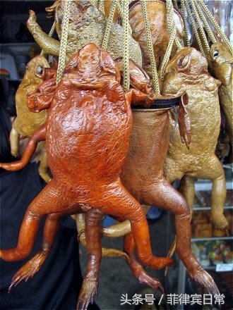 菲律宾风味芒果干500g (菲律宾本地芒果干哪个牌子好)