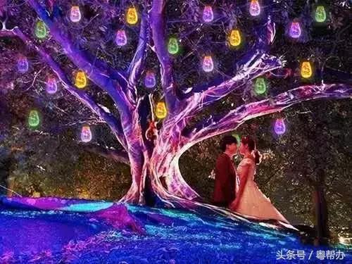 全国梦幻游玩好去处,梦境旅游景点