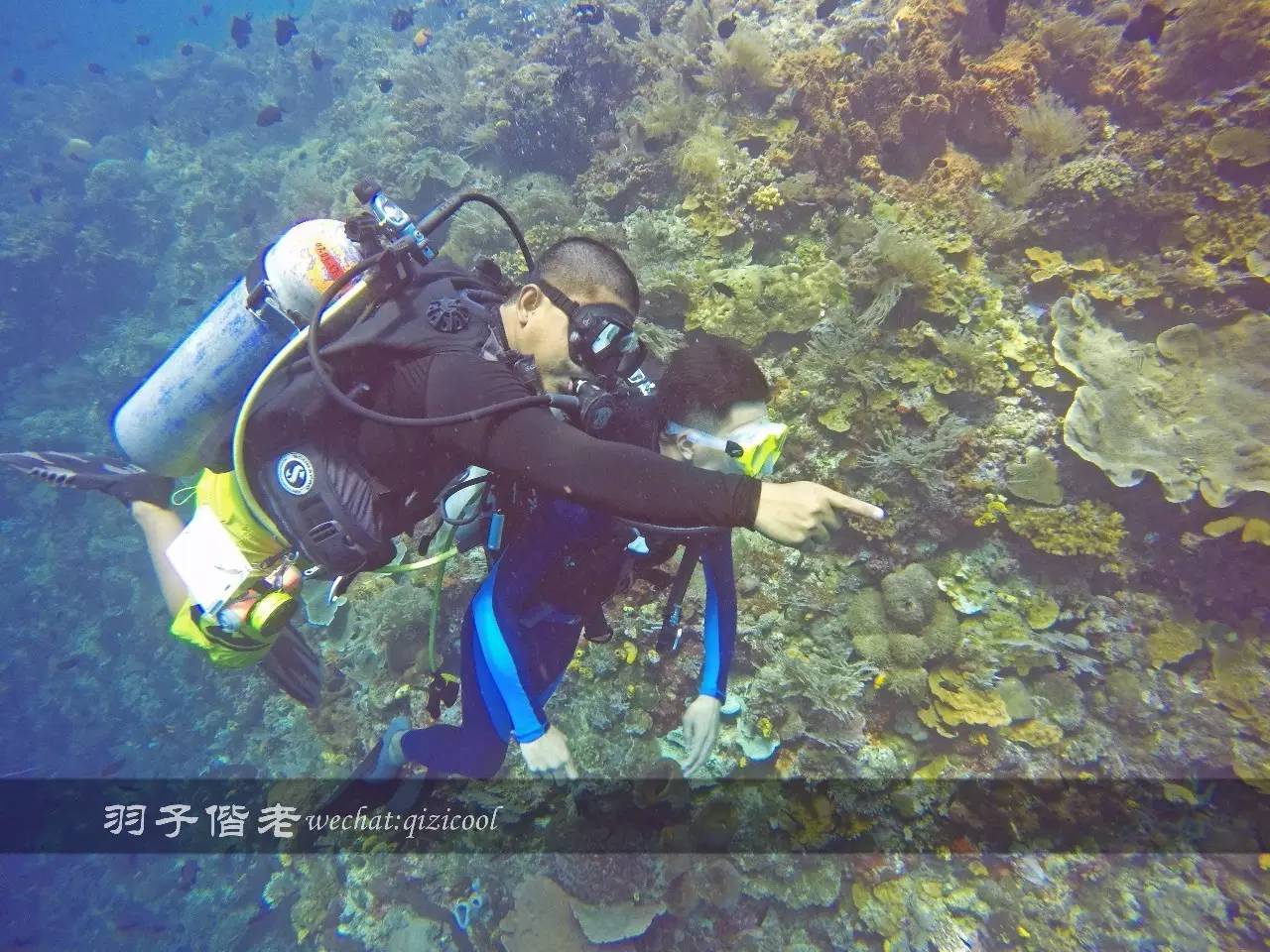 印尼美娜多旅游潜水攻略,印尼美娜多潜水圣地