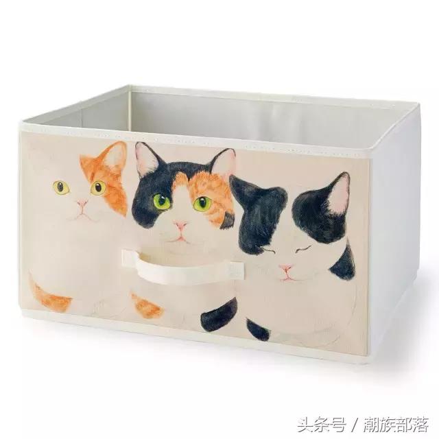 猫控保健,猫控送什么礼物
