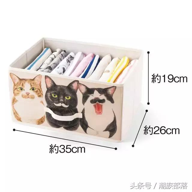 猫控保健,猫控送什么礼物